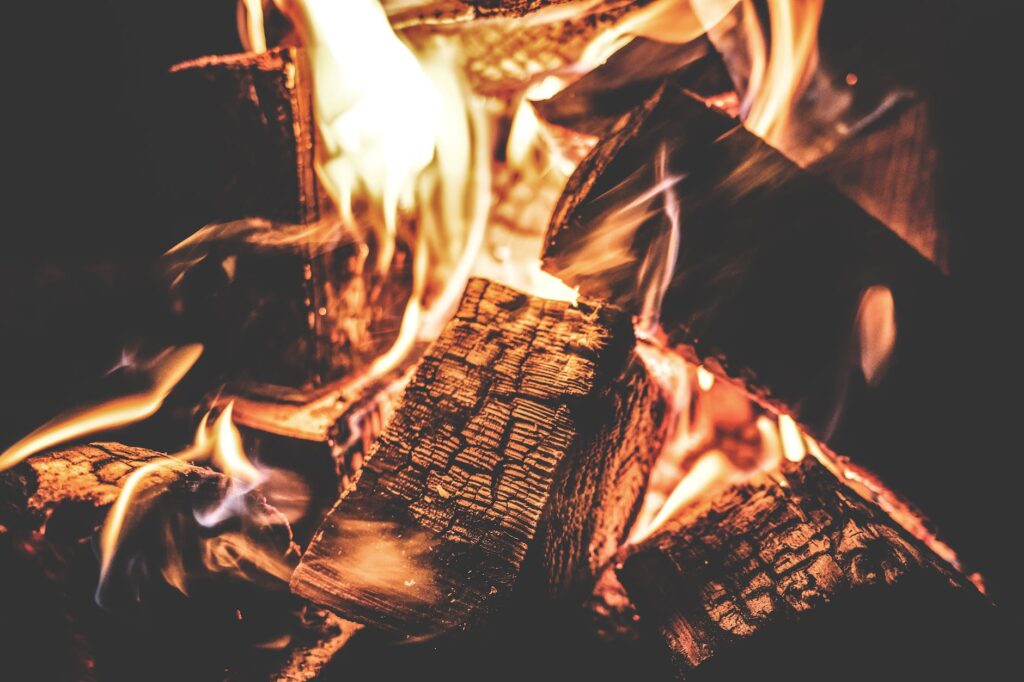 focus photography of a ignited firewood
